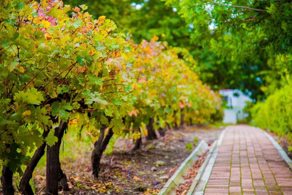 Le Manoir De Brendel Bed & Breakfast Franschhoek Exterior photo